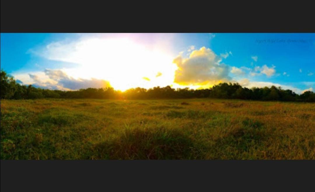 Sigiri Wild Lake Dambulla Exterior foto