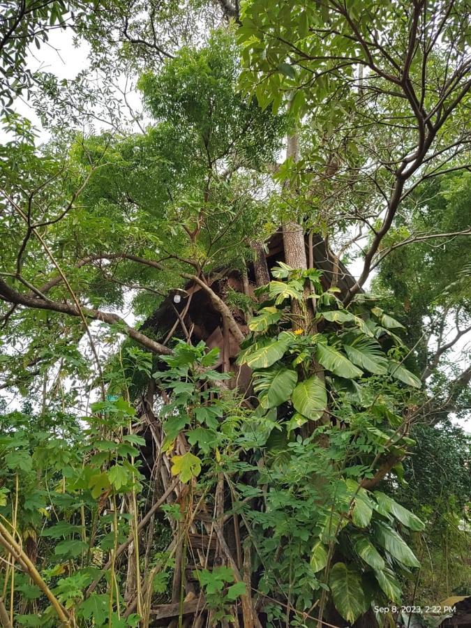 Sigiri Wild Lake Dambulla Exterior foto